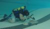 Underwater Pool Patch – Ven-Tech Subsea Inspections