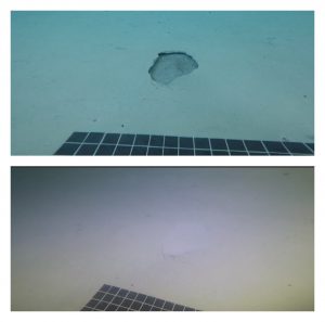 Pool Plaster Repair Underwater